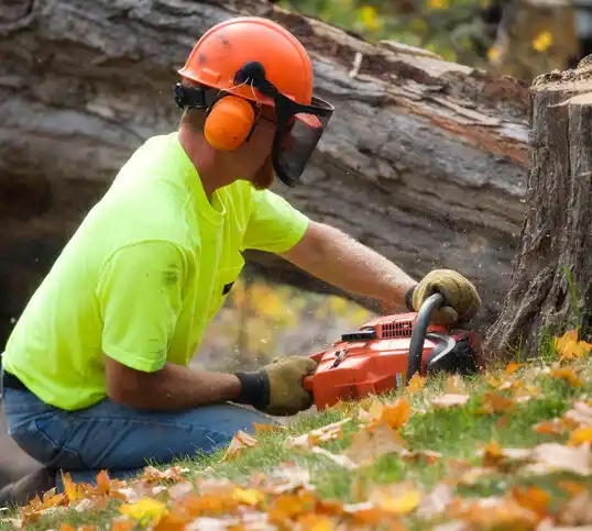 tree services West Union